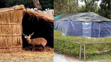 Photo of चिड़ियाघर में जानवरों को ठंड से बचाने के लिए वन विभाग ने उठाए बड़े कदम, जानिए कैसे