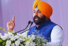 Photo of Punjab News : स्कूलों में चार साहिबज़ादों की शहादत को नमन करने के लिए तीन दिवसीय शैक्षिक कार्यक्रम