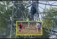 Photo of UP News : जीजा पर छाया प्यार का बुखार, मोबाइल टावर पर चढ़कर किया हंगामा