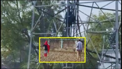 Photo of UP News : जीजा पर छाया प्यार का बुखार, मोबाइल टावर पर चढ़कर किया हंगामा