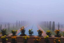 Photo of Uttar Pradesh : घने कोहरे में ताजमहल अदृश्य, कम विजिबिलिटी के कारण फ्लाइट्स कैंसिल