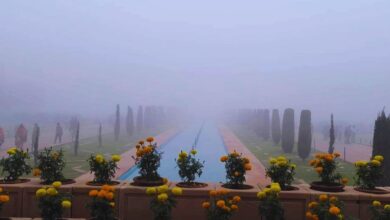 Photo of Uttar Pradesh : घने कोहरे में ताजमहल अदृश्य, कम विजिबिलिटी के कारण फ्लाइट्स कैंसिल