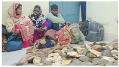 Photo of झारखंड में रेल पुलिस को बड़ी सफलता : फरक्का एक्सप्रेस से 662 कछुए बरामद, तीन तस्कर गिरफ्तार