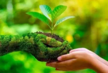 Photo of हरियाली के अंतर्गत क्षेत्र बढ़ाने एवं पर्यावरण संरक्षण के लिए जंगल एवं प्रकृति जागरूकता पार्क किए जा रहे हैं विकसित