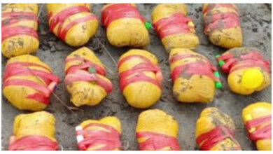 Photo of पंजाब में नशे की बड़ी खेप बरामद, बॉर्डर पार से ड्रोन के जरिए तस्करी का खुलासा, 12 किलो हेरोइन जब्त