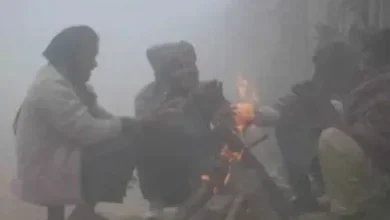 Photo of पंजाब में घना कोहरा छाया, दृश्यता 30 मीटर और दिन का तापमान 2.1 डिग्री गिरा