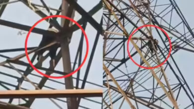 Photo of ग्रेटर नोएडा में शादी से इनकार के बाद युवक चढ़ा 50 फीट हाई टेंशन टावर पर