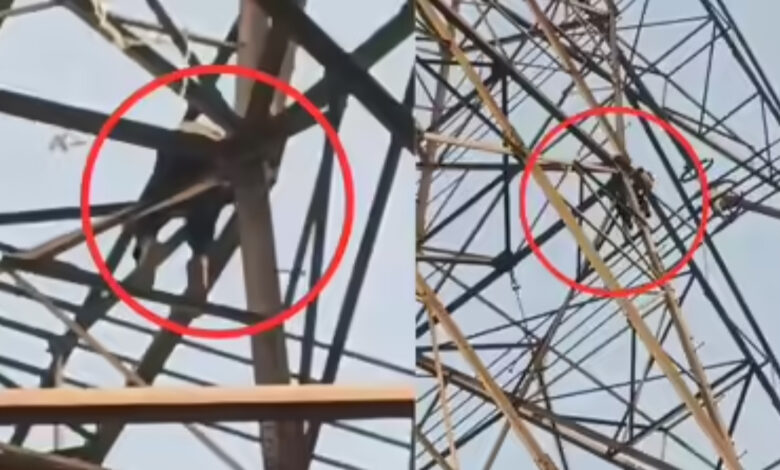 Young Man Climbed Tower :