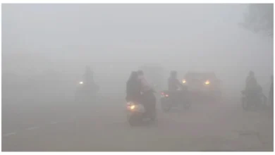Photo of पंजाब में घना कोहरा : दृश्यता कम, लुधियाना-बठिंडा में ठंडक बढ़ी