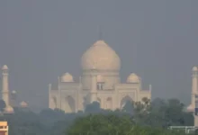 Photo of आगरा में घना कोहरा, ताजमहल देखना पड़ा मुश्किल, पर्यटक मायूस