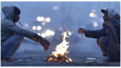 Photo of पंजाब-चंडीगढ़ में ठंड, 19-21 दिसंबर को कोहरा, 20 दिसंबर हल्की बारिश और तेज हवाओं का अनुमान