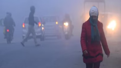 Photo of दिल्ली में कोहरे का असर, 7 डिग्री पहुंचा पारा, नए साल पर बारिश और बर्फबारी का अलर्ट