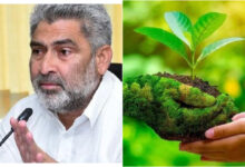 Photo of हरियाली के अंतर्गत क्षेत्र बढ़ाने एवं पर्यावरण संरक्षण के लिए जंगल एवं प्रकृति जागरूकता पार्क किए जा रहे हैं विकसित