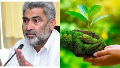 Photo of हरियाली के अंतर्गत क्षेत्र बढ़ाने एवं पर्यावरण संरक्षण के लिए जंगल एवं प्रकृति जागरूकता पार्क किए जा रहे हैं विकसित