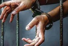 Photo of “युद्ध नशों विरूद्ध” अभियान के 330वें दिन 50 नशा तस्कर गिरफ्तार