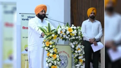 Photo of तीसरे अंतरराष्ट्रीय पंजाबी ओलंपियाड-2025 में छात्रों ने किया शानदार प्रदर्शन, परिणाम घोषित