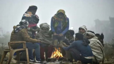 Photo of पंजाब में बढ़ती ठंड और घनी धुंध से जनजीवन और परिवहन सेवाएं प्रभावित