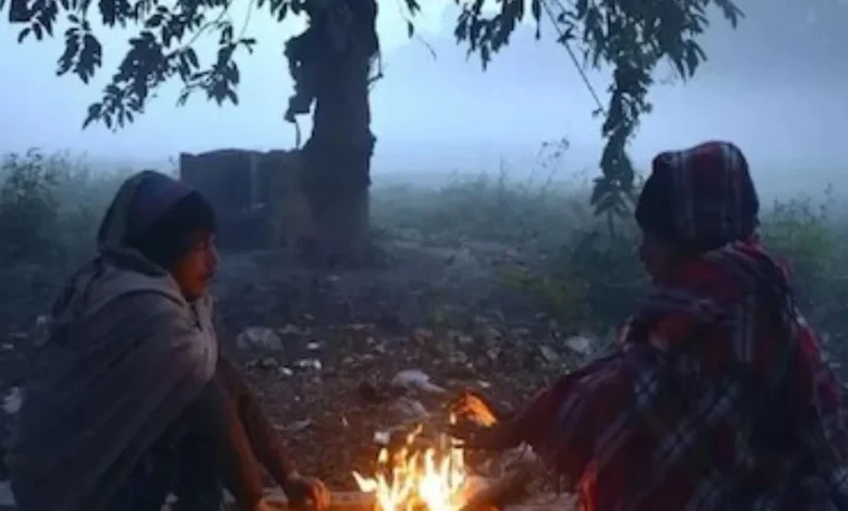 UP Cold Wave Alert :