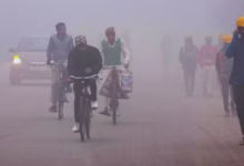 Photo of दिल्ली में फिर लौटी सर्दी, ठंडी हवाओं और कोहरे ने बढ़ाई ठंड