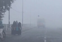 Photo of UP में कोहरा-शीतलहर का अलर्ट, 1 फरवरी से बदलेगा मौसम, बारिश बढ़ाएगी ठिठुरन