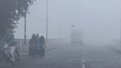 Photo of UP में कोहरा-शीतलहर का अलर्ट, 1 फरवरी से बदलेगा मौसम, बारिश बढ़ाएगी ठिठुरन