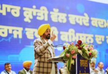 Photo of सीएम मान और अरविंद केजरीवाल ने की व्यापारियों से मुलाकात, दुकानदारों को दिलाया भरोसा