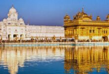 Photo of Amritsar News : पंजाब में 169 पावन स्वरूप बरामद, SIT कर रही जांच