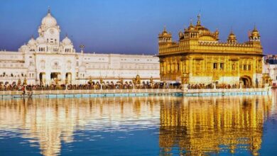 Photo of Amritsar News : पंजाब में 169 पावन स्वरूप बरामद, SIT कर रही जांच