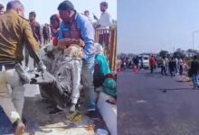 Photo of Jabalpur Car Accident : जबलपुर में कार ने 12 मजदूरों को रौंदा, 2 की मौत, 7 की हालत गंभीर