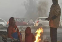 Photo of पंजाब में कड़ाके की ठंड और कोहरे का कहर, बठिंडा सबसे ठंडा 1.6°C
