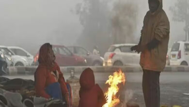 Photo of पंजाब में कड़ाके की ठंड और कोहरे का कहर, बठिंडा सबसे ठंडा 1.6°C