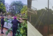 Photo of Punjab Power Supply : PSPCL स्टाफ की मेहनत जारी, बिजली आपूर्ति बहाल करने में रात-दिन जुटे