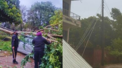 Photo of Punjab Power Supply : PSPCL स्टाफ की मेहनत जारी, बिजली आपूर्ति बहाल करने में रात-दिन जुटे