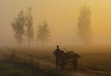 Photo of Punjab Weather : पंजाब में ठंड से बढ़ी ठिठुरन, हवाई सेवाओं पर पड़ा असर, दो दिन घने कोहरे का अलर्ट