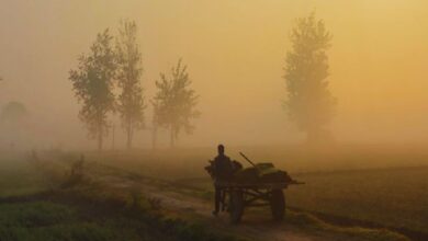 Photo of Punjab Weather : पंजाब में ठंड से बढ़ी ठिठुरन, हवाई सेवाओं पर पड़ा असर, दो दिन घने कोहरे का अलर्ट