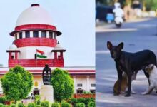 Photo of Stray Dogs : आवारा कुत्तों को लेकर सुप्रीम कोर्ट सख्त, हमलों पर राज्य सरकार भरेगी मुआवजा