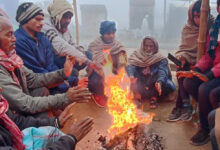 Photo of UP में कोहरा और बर्फीली हवाओं का असर, कड़ाके की सर्दी से कांपे लोग, IMD ने जारी किया अलर्ट