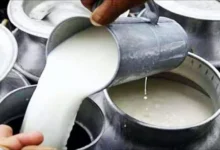 Photo of आंध्र प्रदेश : राजमुंदरी में मिलावटी दूध से 4 की मौत, कई अस्पताल में भर्ती