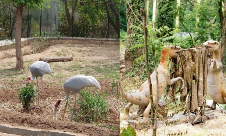 Chhatbir Chidiya Ghar