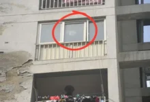 Photo of मोबाइल और सोशल अकाउंट… कैसे पहुंचीं मौत के करीब तीन बहनें? गाजियाबाद ट्रिपल सुसाइड केस का पूरा सच जानें