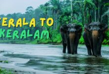 Photo of Kerala Keralam : केरल बनेगा ‘केरलम’, कैबिनेट बैठक में मोदी सरकार ने लगाई मुहर