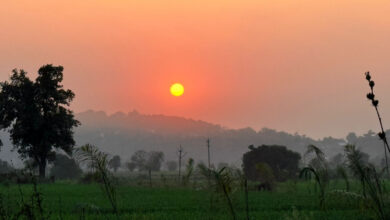 Photo of UP में एक हफ्ते तक शुष्क मौसम, तापमान में 2 डिग्री तक बढ़ोतरी के आसार