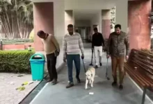 Photo of मोहाली के फोर्टिस अस्पताल और स्कूलों को बम से उड़ाने की धमकी, सीएम मान हैं एडमिट