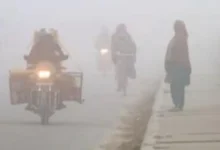 Photo of बारिश के बाद बढ़ी ठंड, घना कोहरा और सर्द हवाएं, 7 फरवरी तक मौसम रहेगा साफ