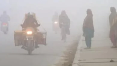 Photo of बारिश के बाद बढ़ी ठंड, घना कोहरा और सर्द हवाएं, 7 फरवरी तक मौसम रहेगा साफ