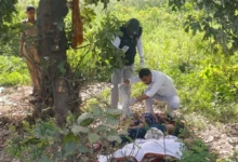 Photo of रेलवे किनारे पेड़ से लटका मिला महिला का शव, नीचे बच्ची और युवक मृत, जांच में जुटी पुलिस