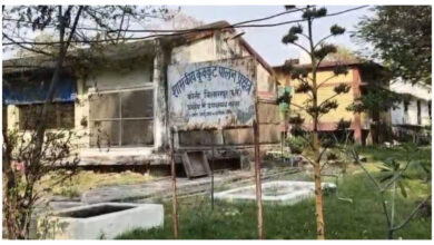 Photo of बिलासपुर में 22 हजार से ज्यादा पक्षियों को क्यों मारा गया? जानिए वजह