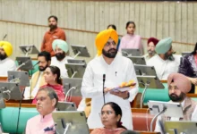 Photo of पंजाब सरकार ने ग्रामीण विकास और सांस्कृतिक योजनाओं के लिए बढ़ाया बजट, तरुनप्रीत सिंह सौंद ने किया धन्यवाद