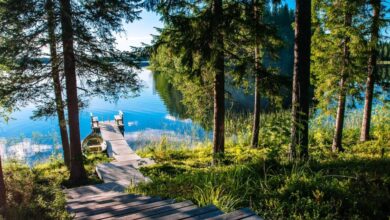 Photo of Finland Tour : फिनलैंड का 7-डे “Chill like a Finn” चैलेंज, जीतें मुफ्त समर ट्रिप