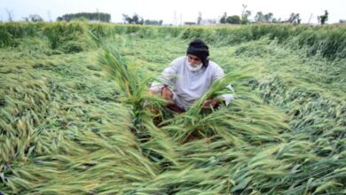 Photo of देश के किसानों पर कुदरत की मार, गर्मी, युद्ध और बेमौसम बारिश से फसल और आमदनी पर भरी चोट